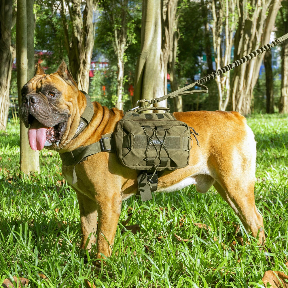 EXCELLENT ELITE SPANKER dog pack grey fabric detail highlights durability