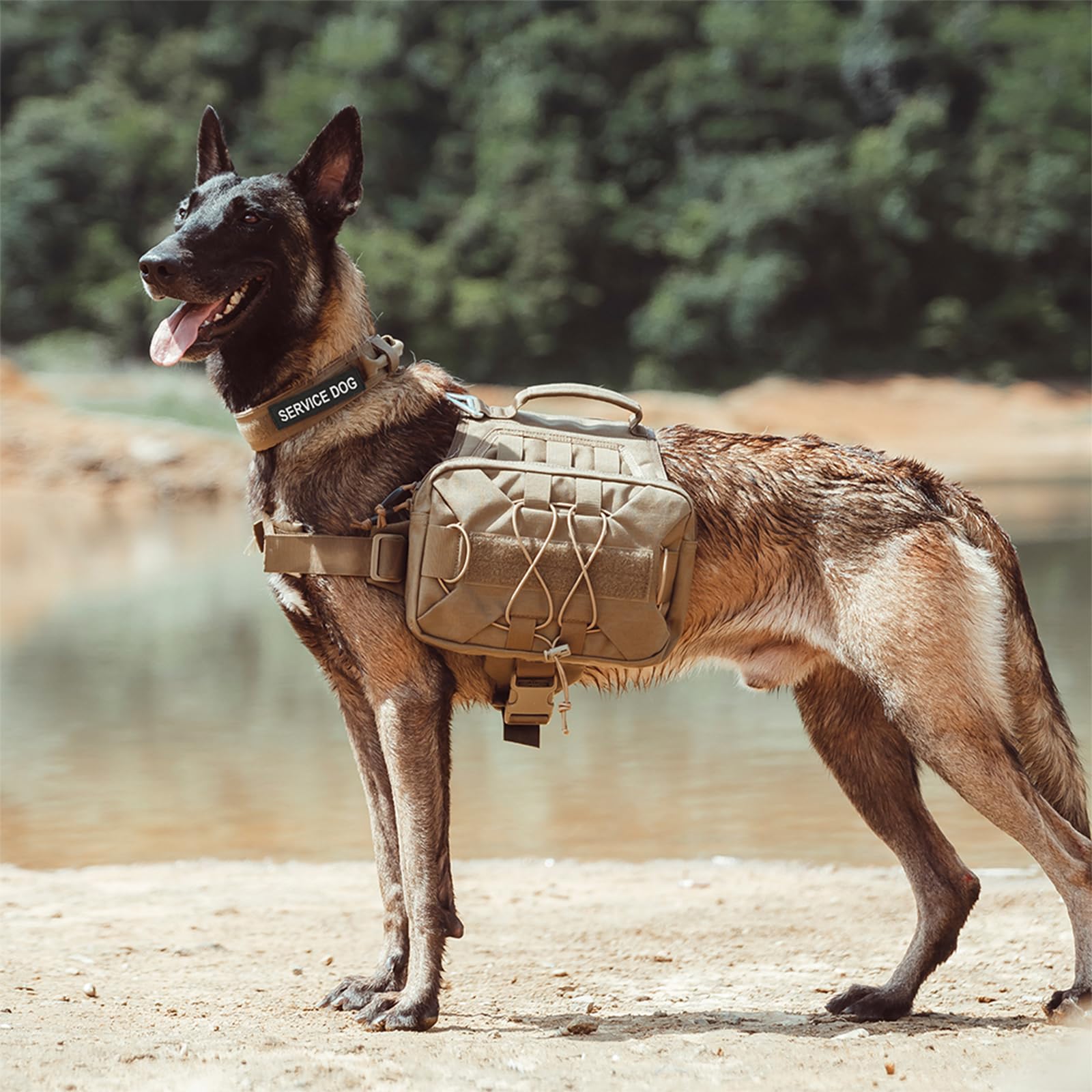 EXCELLENT ELITE SPANKER dog pack patch ID panel for customization