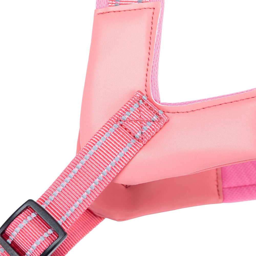 EXCELLENT ELITE SPANKER Durable-nylon-material supports daily walks and training.
