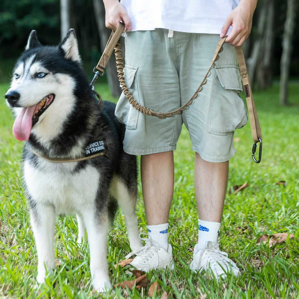 EXCELLENT ELITE SPANKER rugged nylon leash for daily outdoor use.