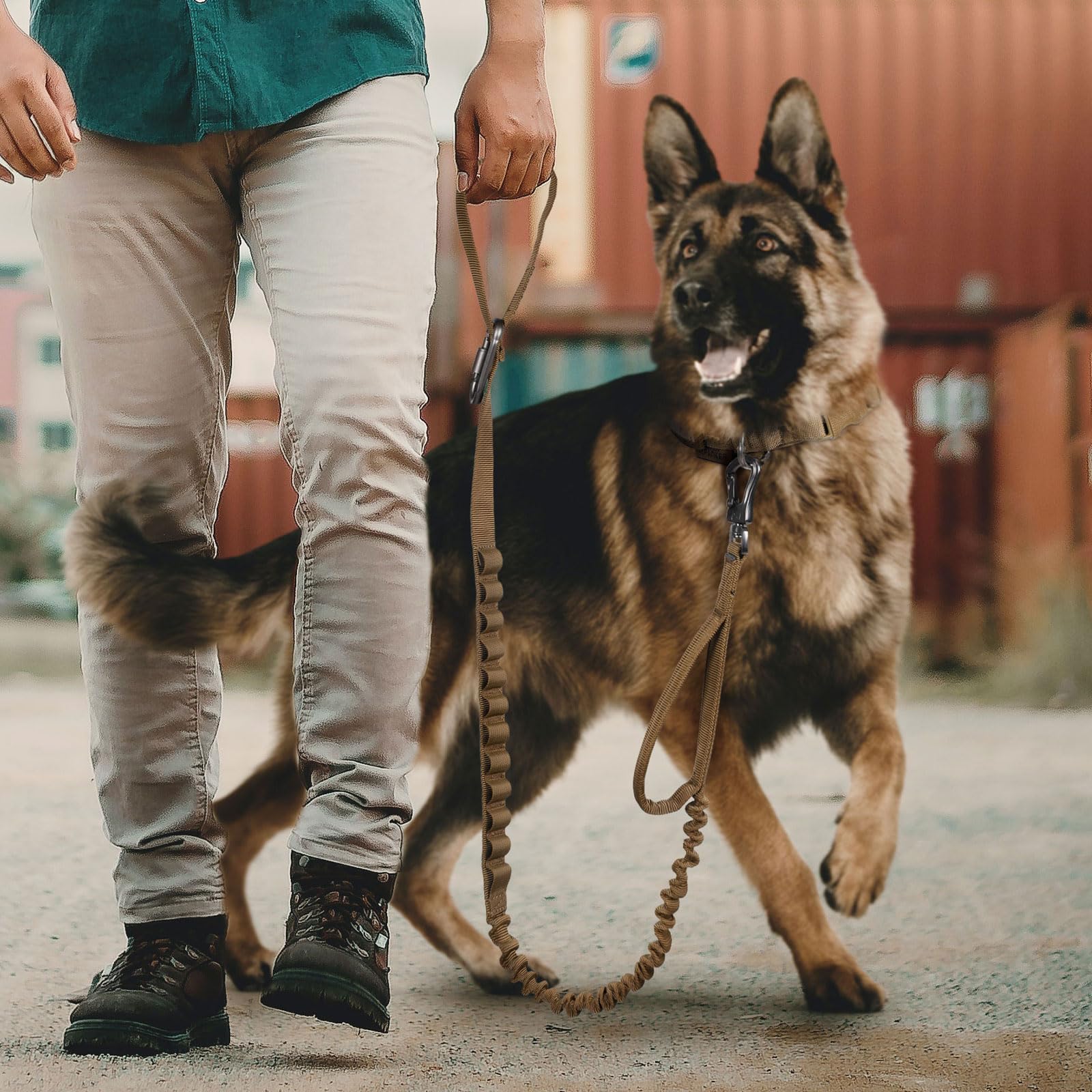 EXCELLENT ELITE SPANKER service-dog friendly leash ideal for reliable handling.