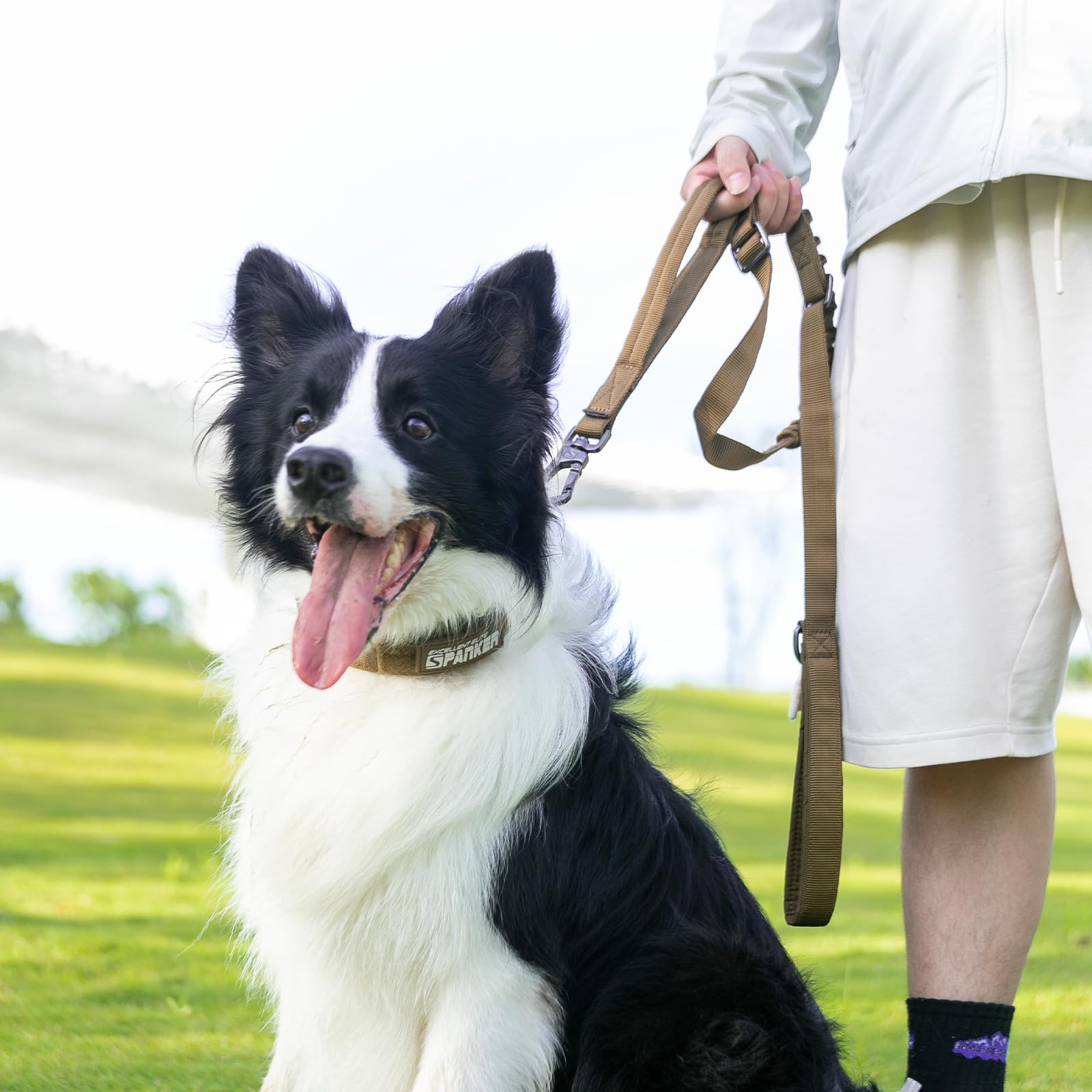 EXCELLENT ELITE SPANKER coyote brown leash in action, ideal for outdoor walks with steady handling.