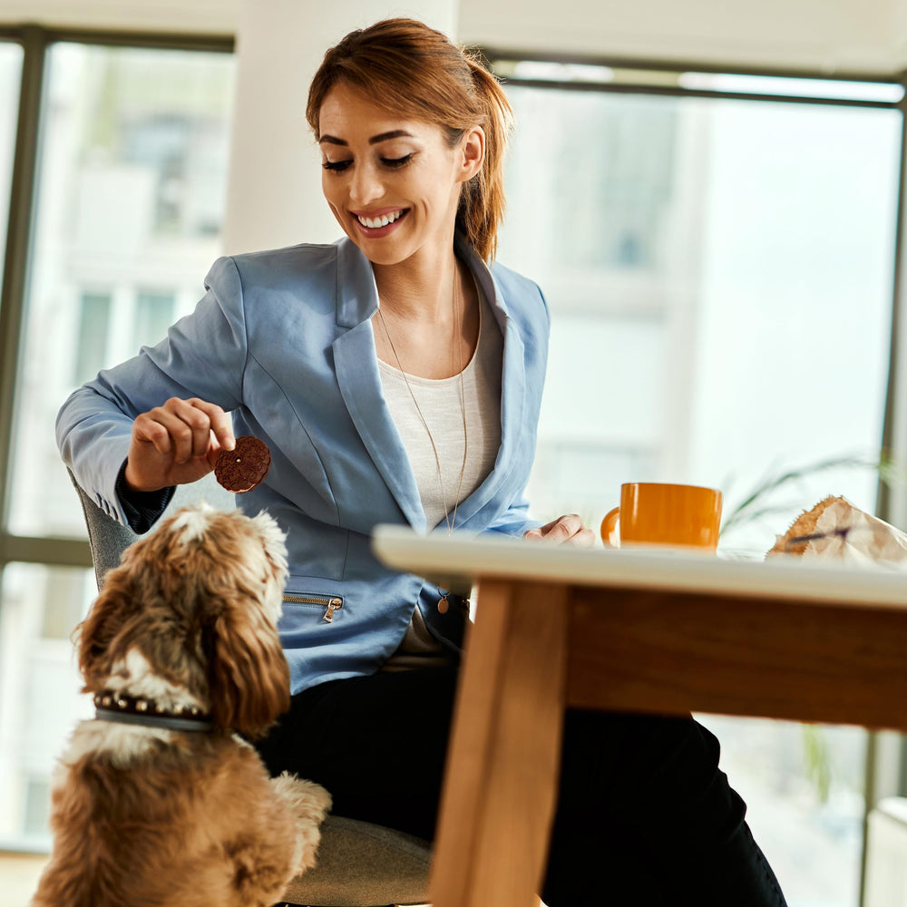 Exclusively Dog Carob Sandwich Cremes training reward image captures moments of positive reinforcement.