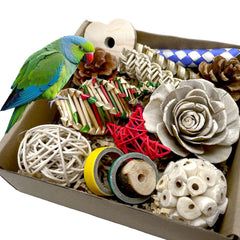 ExcyphrXyf foraging box closeup shows safe natural materials for birds.