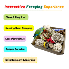 ExcyphrXyf foraging box open-top view reveals treasure-hunt snacks.