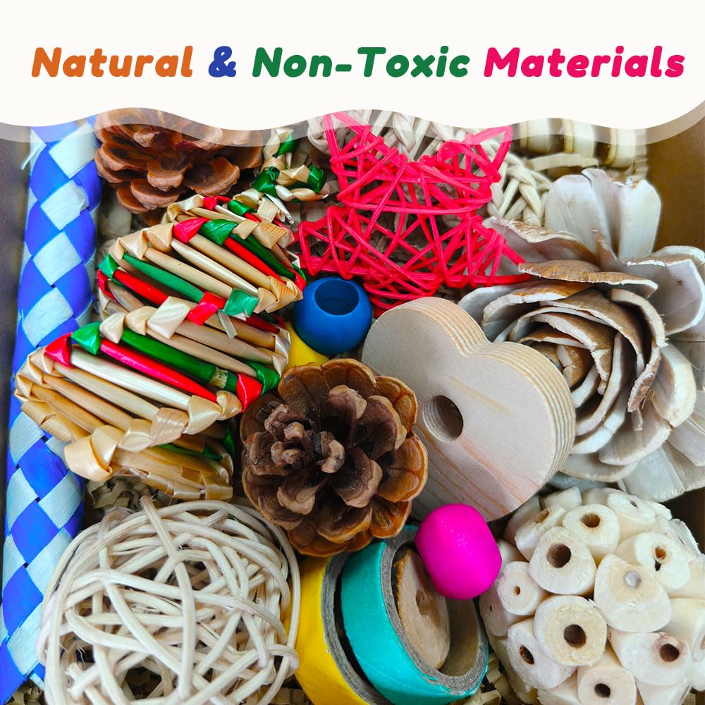 ExcyphrXyf foraging box natural materials like pine cone and wood in use.