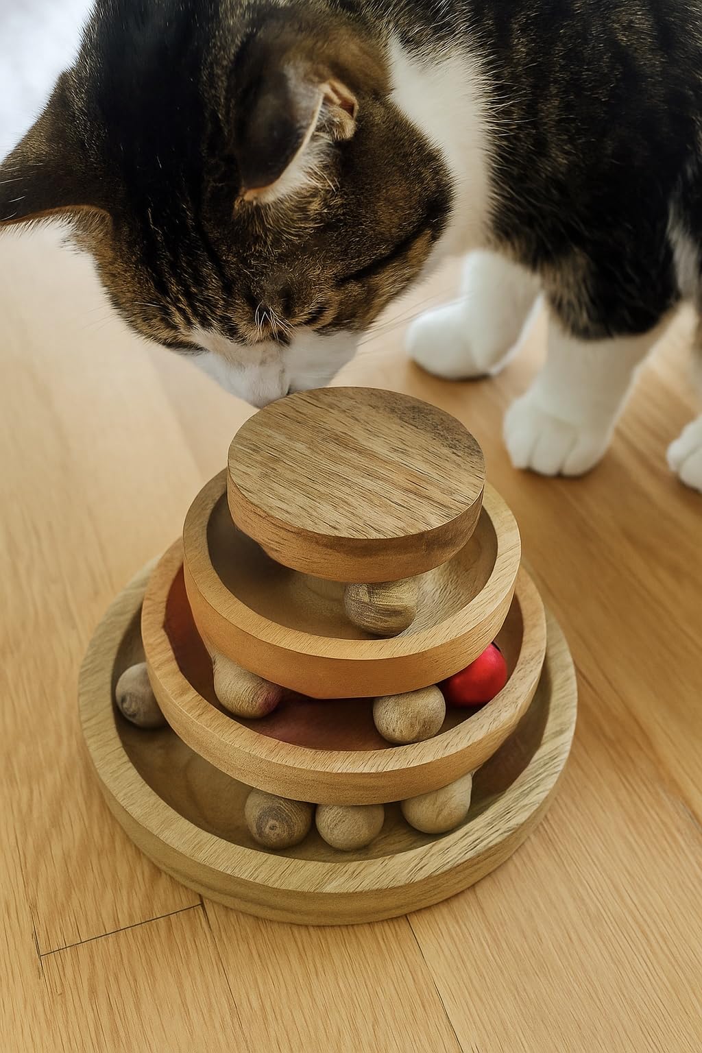 Eximious India three-tier track with bell promotes playful exploration and exercise.