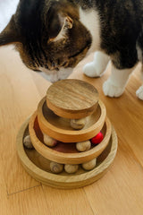 Eximious India three-tier track with bell promotes playful exploration and exercise.