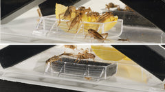Exo Terra Cricket Pen Small dispenser detail emphasizes neat feeding capability