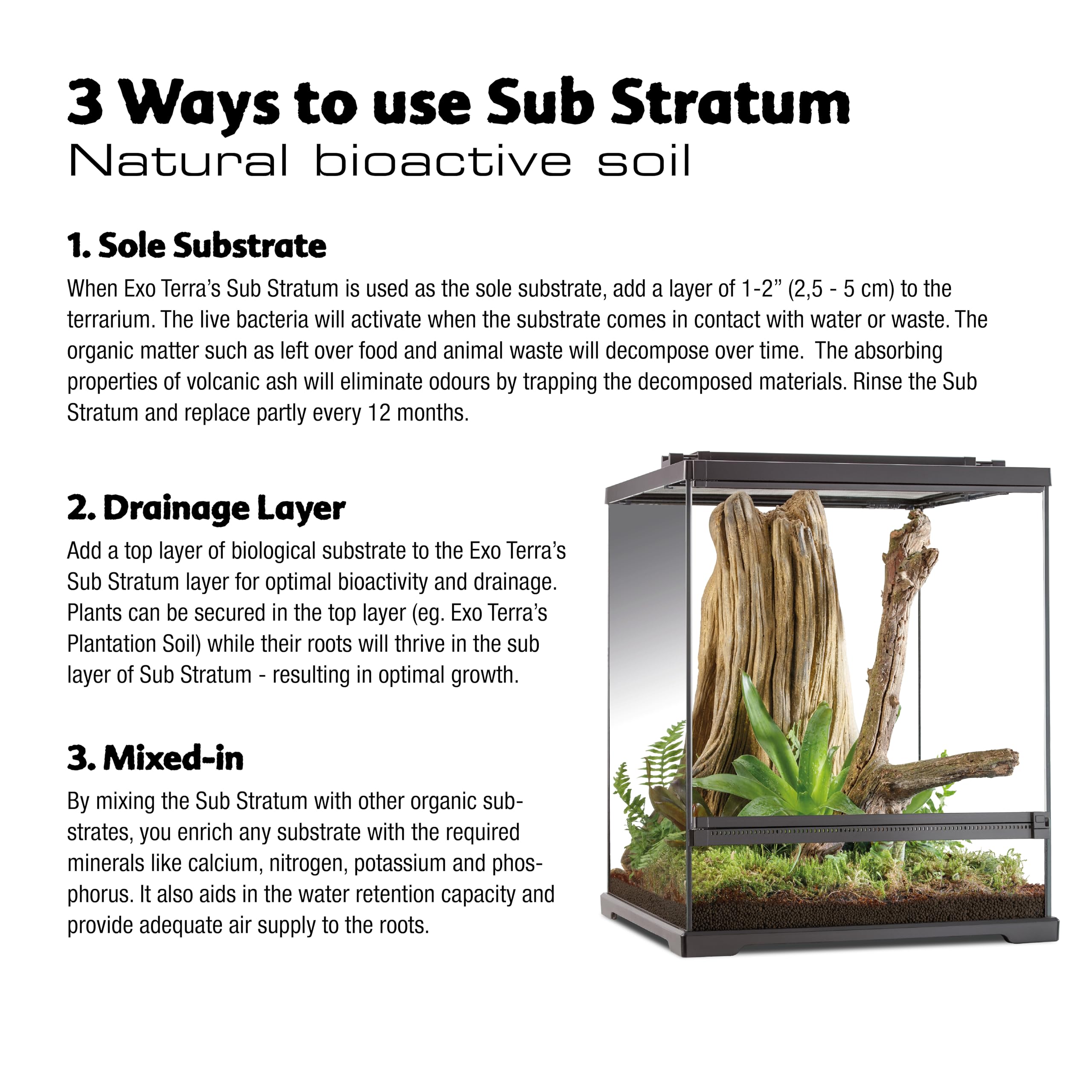 Exo Terra Sub Stratum planted-terrarium-scene supports bioactive ecosystems and plant growth.
