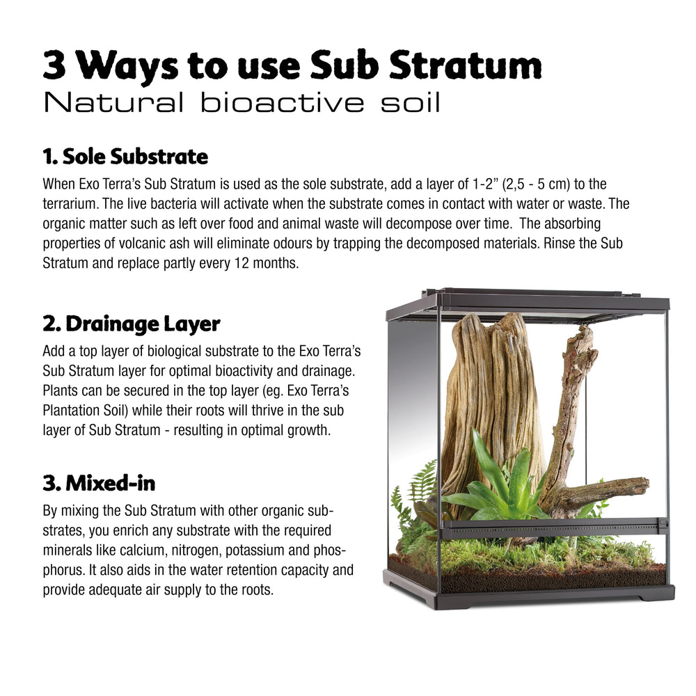 Exo Terra Sub Stratum planted-terrarium-scene supports bioactive ecosystems and plant growth.