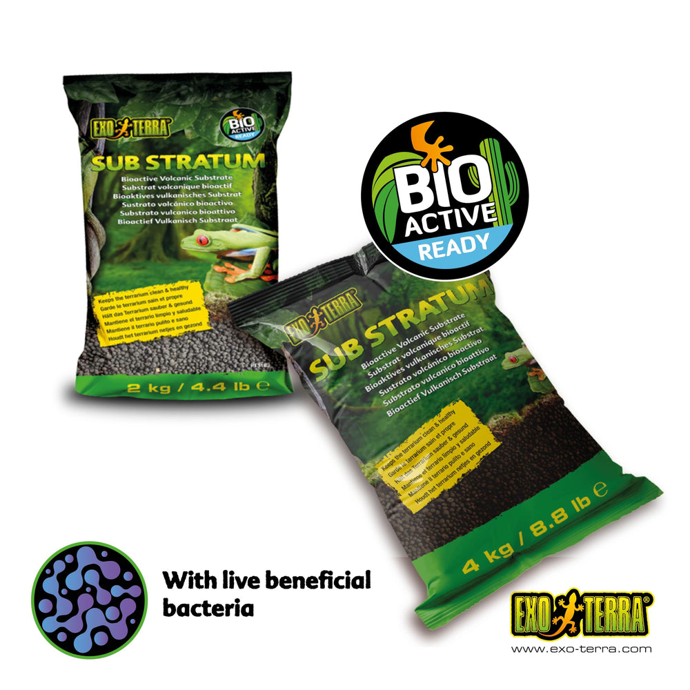 Exo Terra Sub Stratum drainage improves moisture control for thriving terrarium plants.