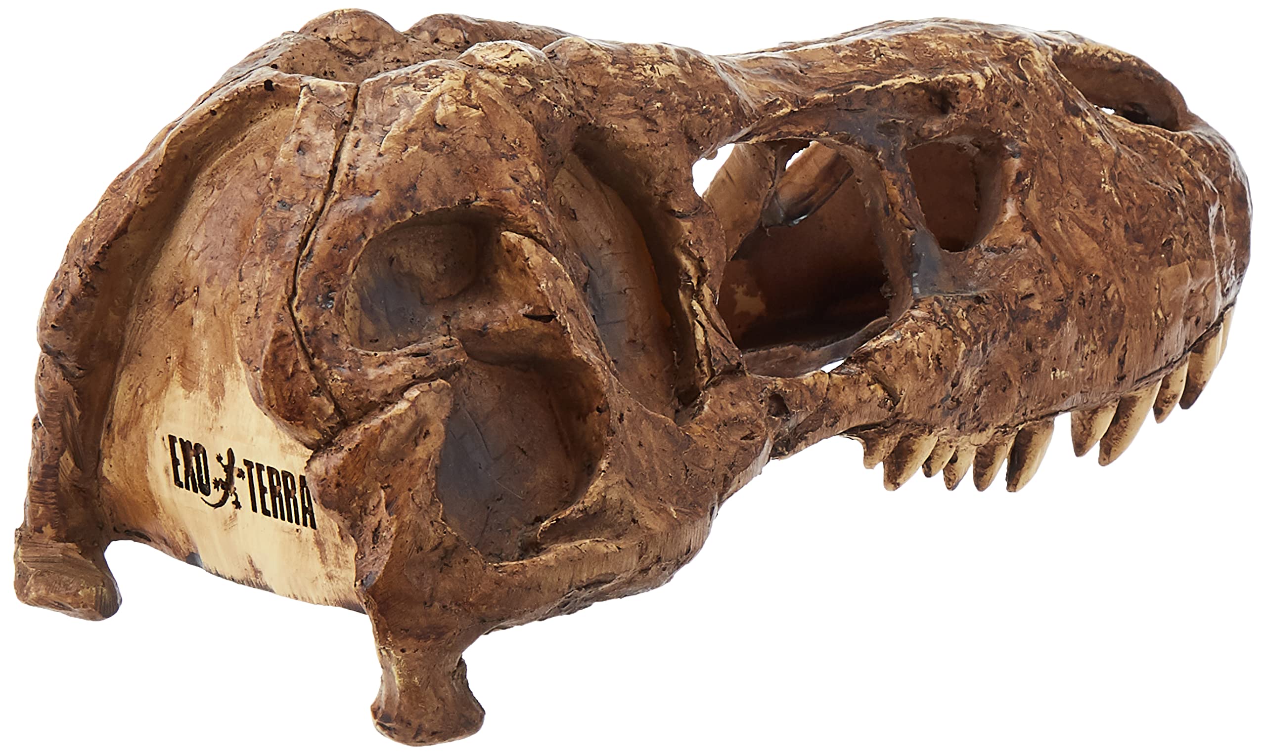 Exo Terra T-Rex Skull with multiple entrances supporting humid microclimate and shedding.