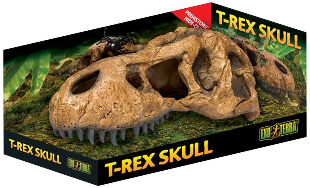 Exo Terra T-Rex Skull Terrarium Decor hideout, secure reptile retreat and natural look.