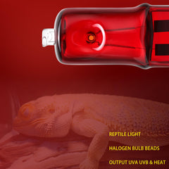 ExoRepti 25W mini halogen bulb image highlights compact warmth source.