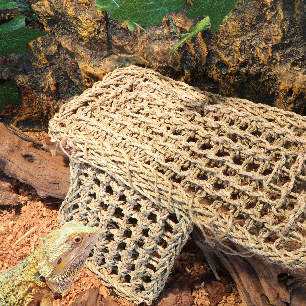 ExoRepti Bearded Dragon Hammock rectangle 16x7 for comfortable terrarium lounging.