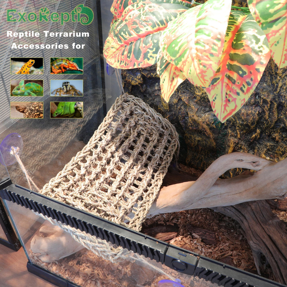 ExoRepti Hammock in use with a bearded dragon shows enrichment and comfort.