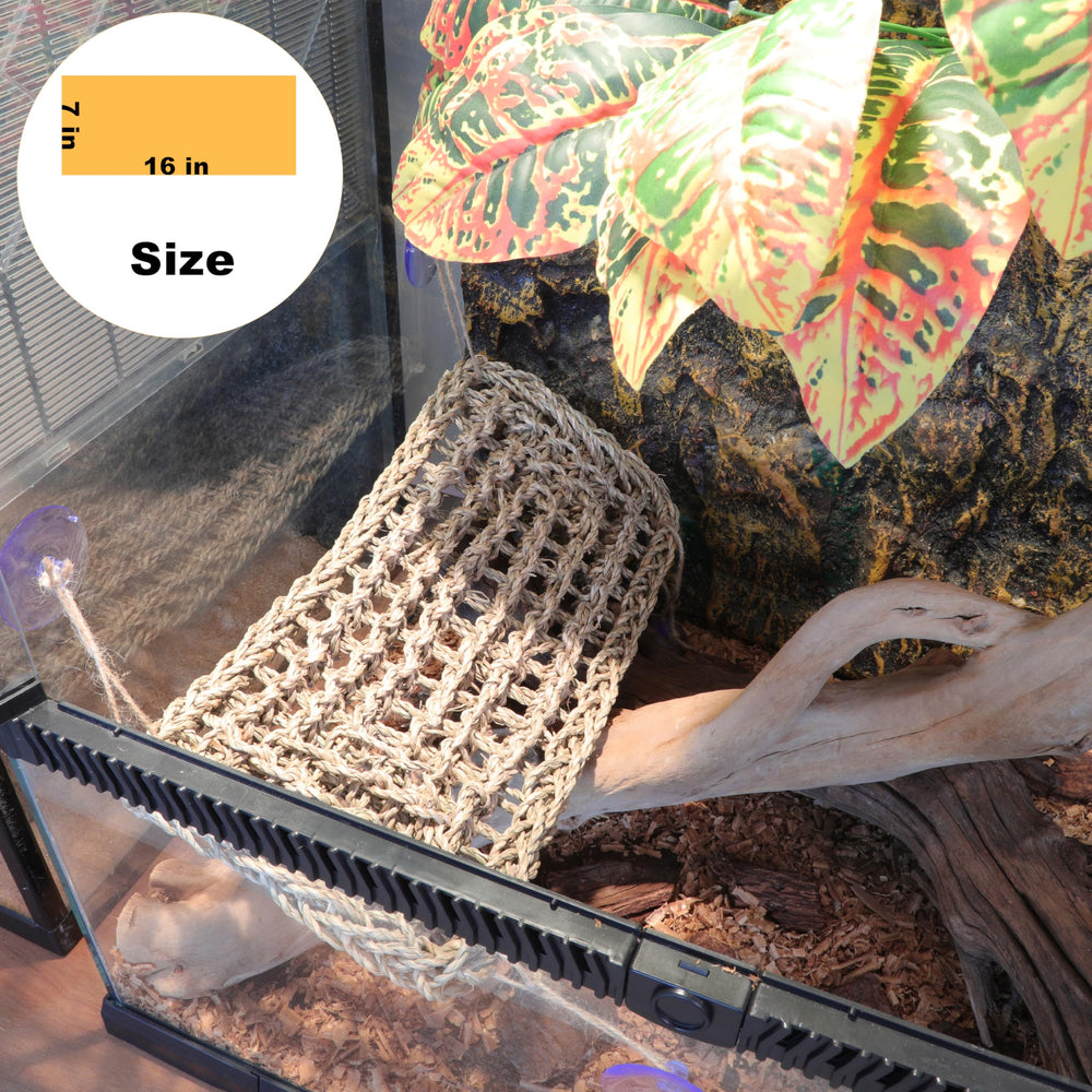 ExoRepti hammock-suction-cups-installation shows secure mounting for stable lounging.
