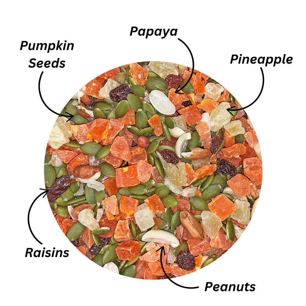 Exotic Nutrition Fruit & Nut Mix papaya and pineapple pieces for flavorful enrichment.