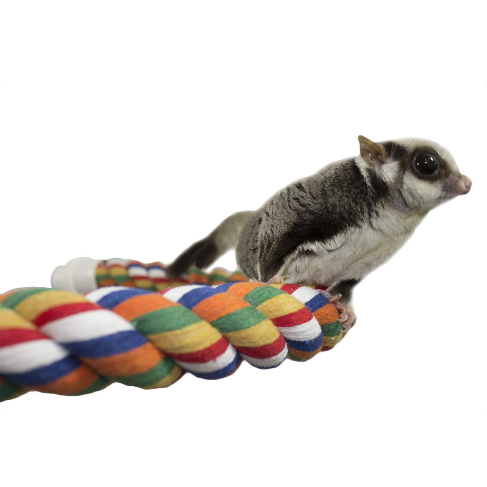 Exotic Nutrition 34 Inch Flex Rope in use provides stimulating play for small pets.
