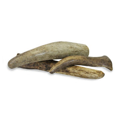 Exotic Nutrition Antler Chews small tips close-up shows compact chew sizes