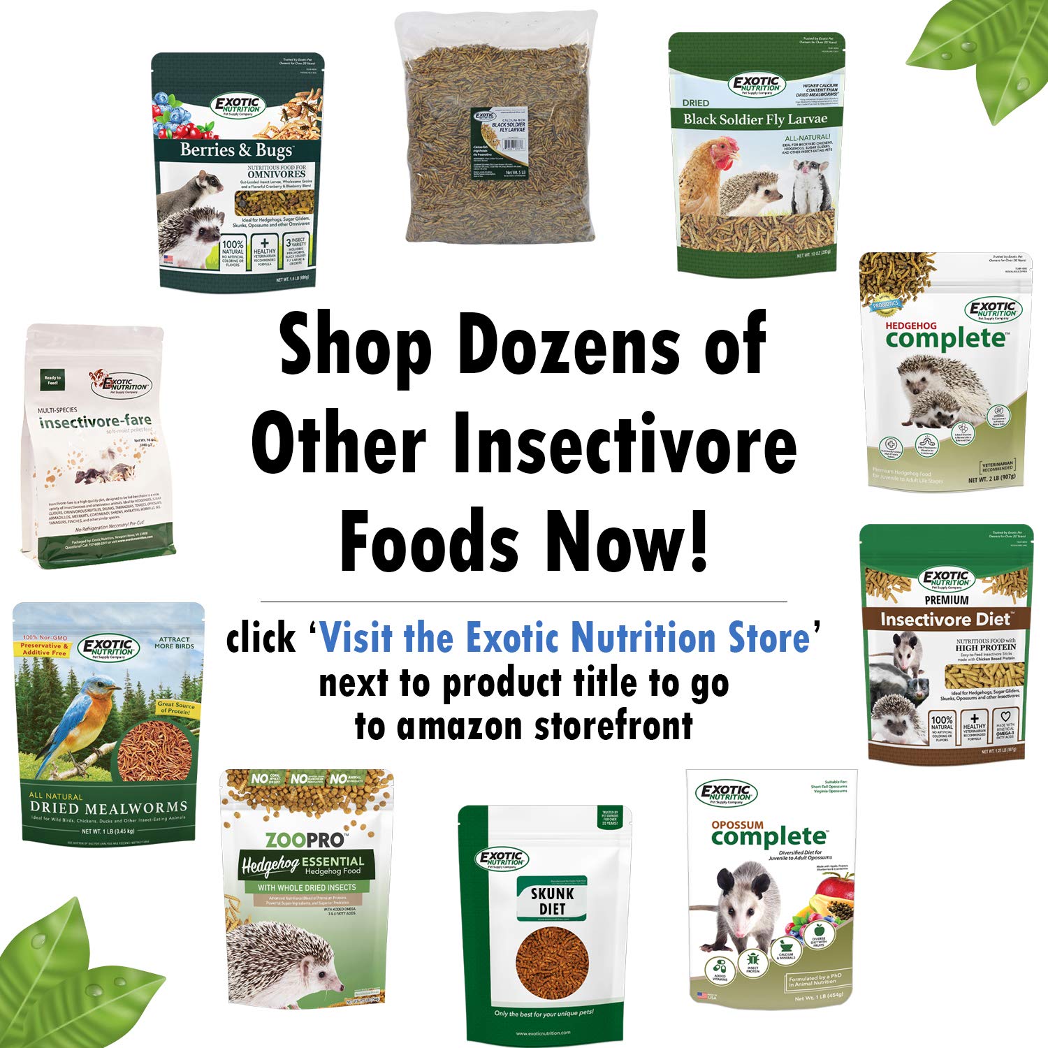 Exotic Nutrition Berries & Bugs label showing USA-made quality