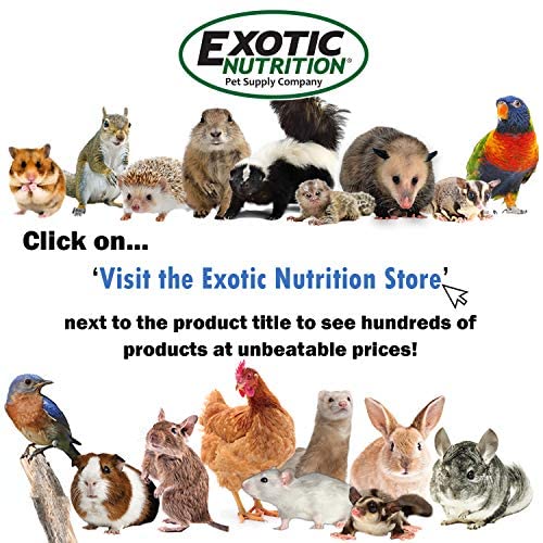 Exotic Nutrition BSFL larvae packaging, shelf-stable calcium protein snack for reptiles.