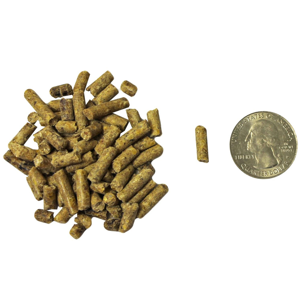 Exotic Nutrition Deluxe Squirrel Diet dried fruits add natural energy and taste.