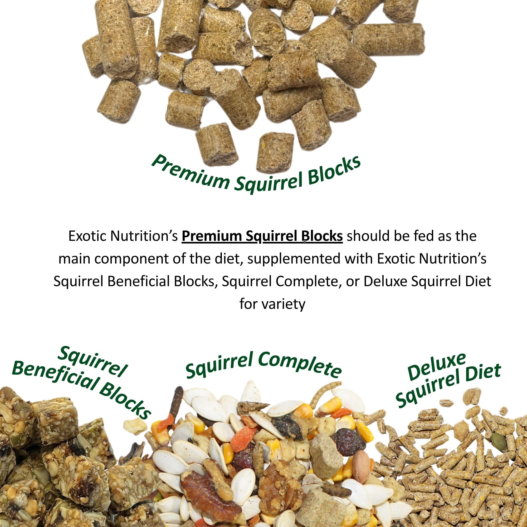 Exotic Nutrition Deluxe Squirrel Diet high-protein pellets support healthy growth and maintenance.