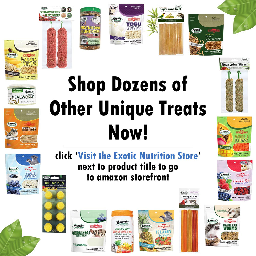 Exotic Nutrition dried apple treat offering natural sweetness and variety