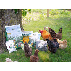 Exotic Nutrition dried crickets bag-open-spillage: ready-to-use cricket treats for backyard birds.