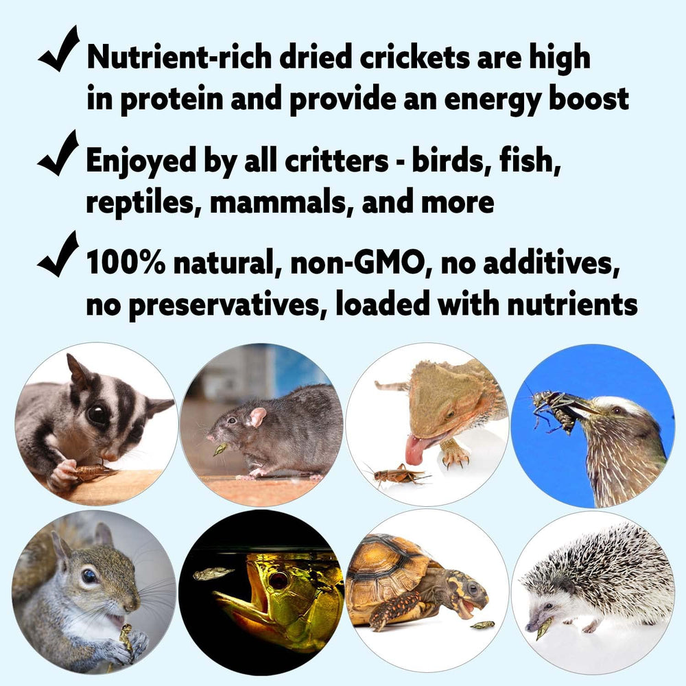 Exotic Nutrition dried crickets closeup-crickets: gut-loaded nutrition for insectivores.