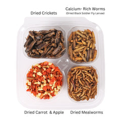 Exotic Nutrition Hedgehog Treat Variety crickets close-up demonstrates crunchy enrichment snack.
