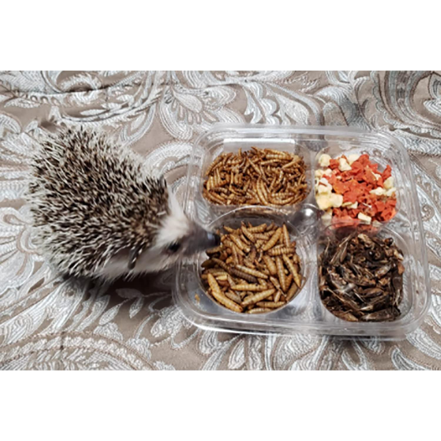 Exotic Nutrition Hedgehog Treat Variety foraging enrichment close-up illustrates habitat enrichment ideas.