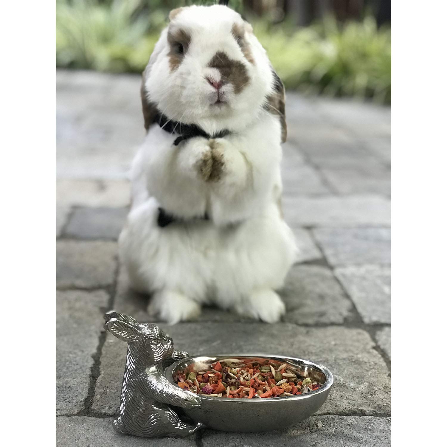 Exotic Nutrition Herbivore Treat rose petals add variety and aroma