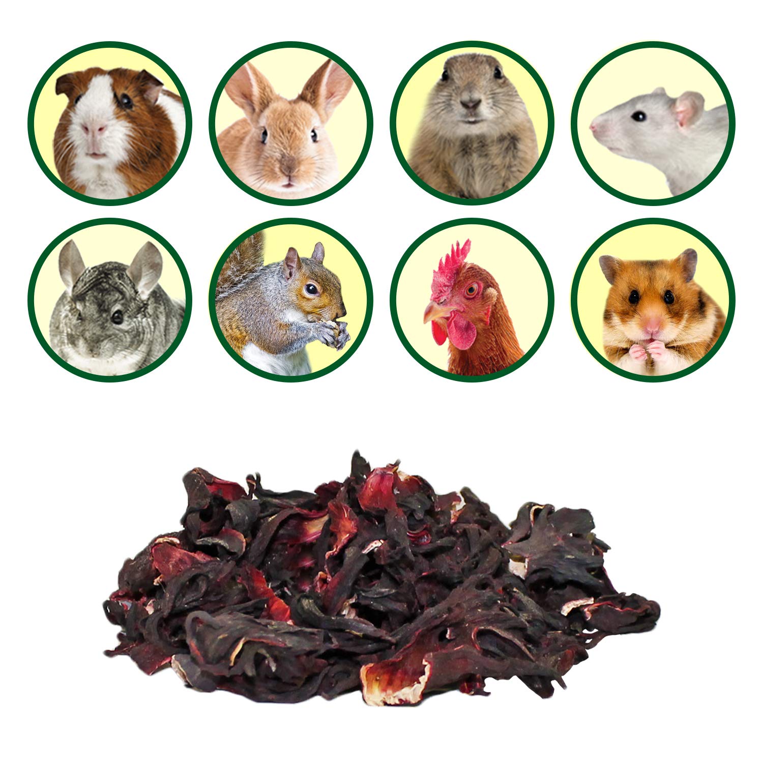 Exotic Nutrition Hibiscus Flower Treat dental-exercise image highlights jaw-friendly chewing