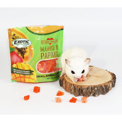 Exotic Nutrition Mango Papaya Treat dried cubes closeup easy bites