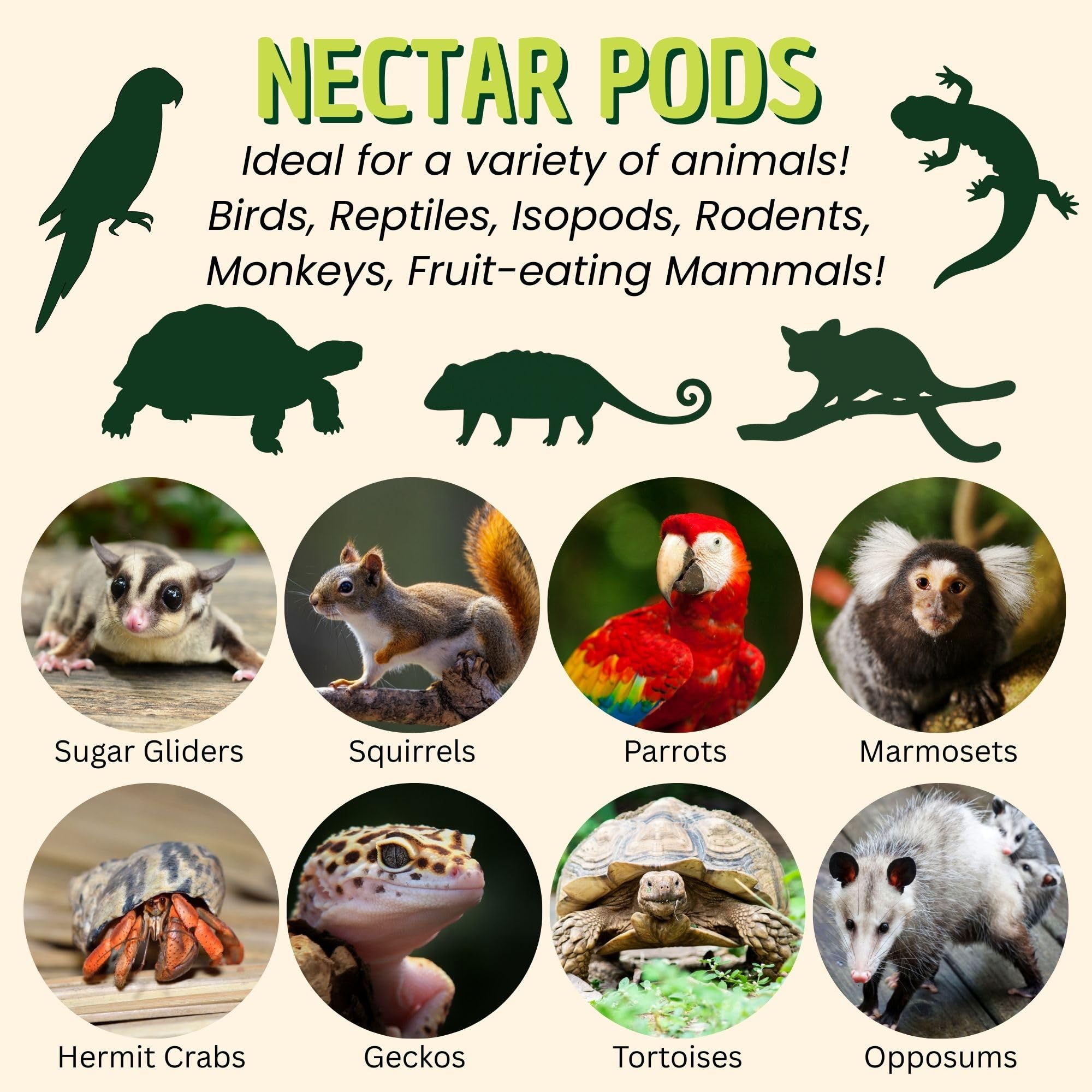 Closeup of Nectar Pods Yogurt jelly showing fruity flavor for birds and small mammals