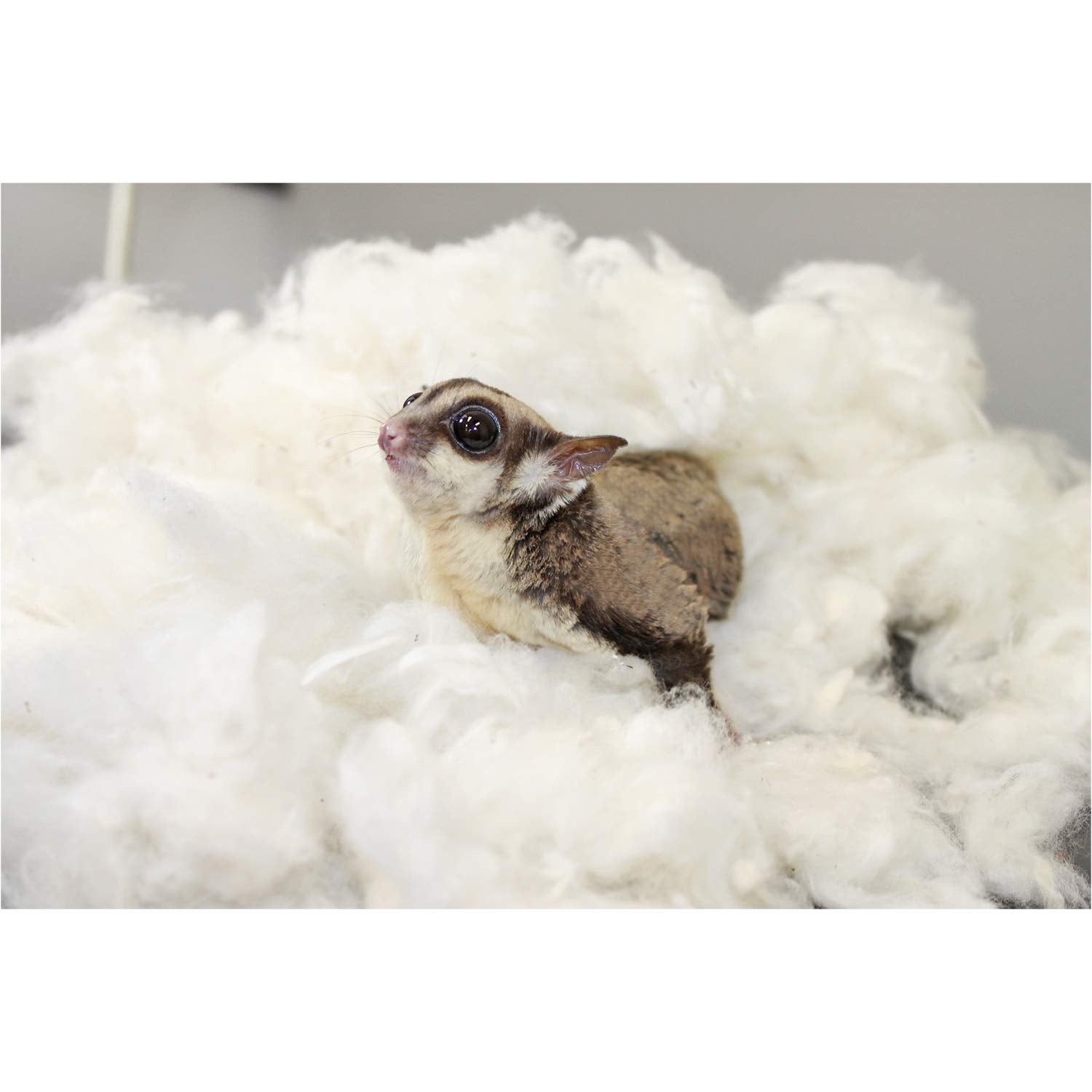 Exotic Nutrition nesting material dye-free closeup emphasizes safe, comforting nesting using Virginia-grown cotton.