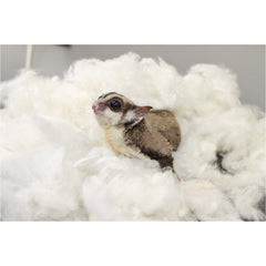 Exotic Nutrition nesting material dye-free closeup emphasizes safe, comforting nesting using Virginia-grown cotton.