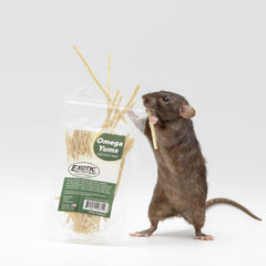 Exotic Nutrition Omega YUMS small-pet enrichment image demonstrates varied diet and stimulation.