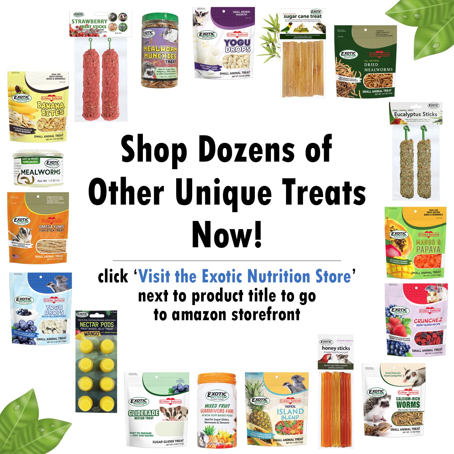 Exotic Nutrition Omega YUMS variety-diet option image shows added dietary variety for small pets.