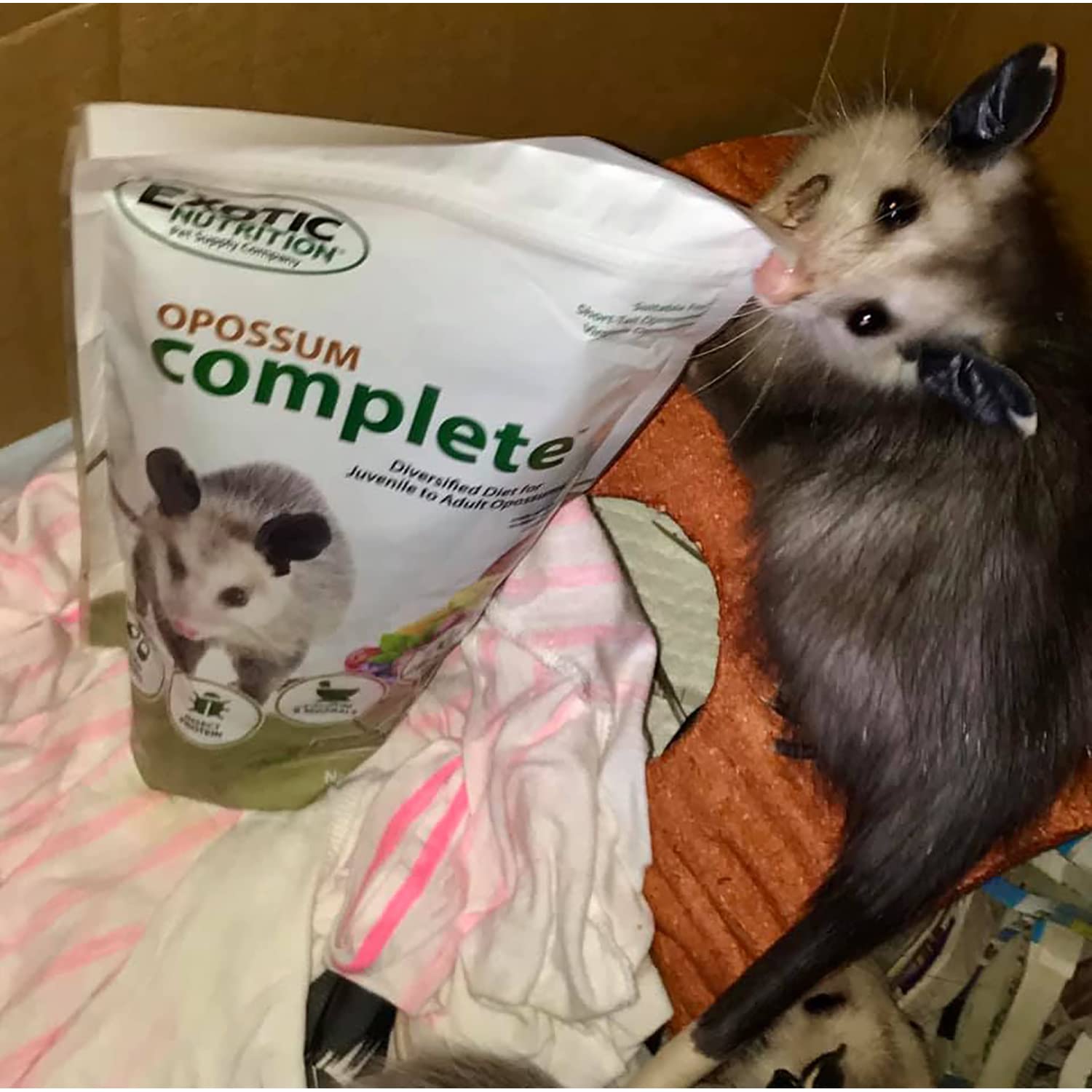 Exotic Nutrition Opossum Complete sealed storage pouch preserves freshness.