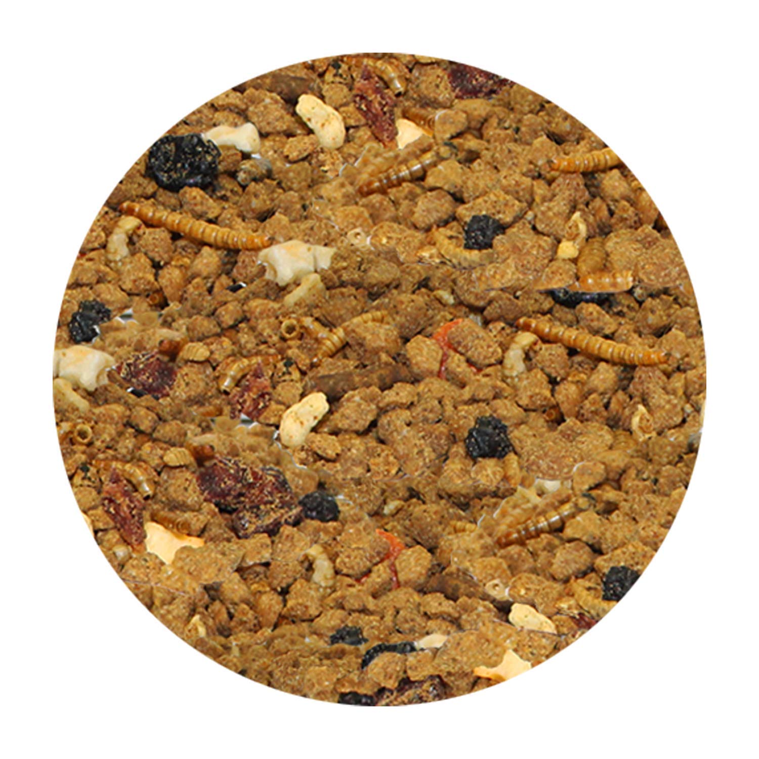 Exotic Nutrition Opossum Complete insects provide protein for healthy growth.
