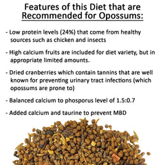 Exotic Nutrition Opossum Complete pellets close-up showing natural ingredients.