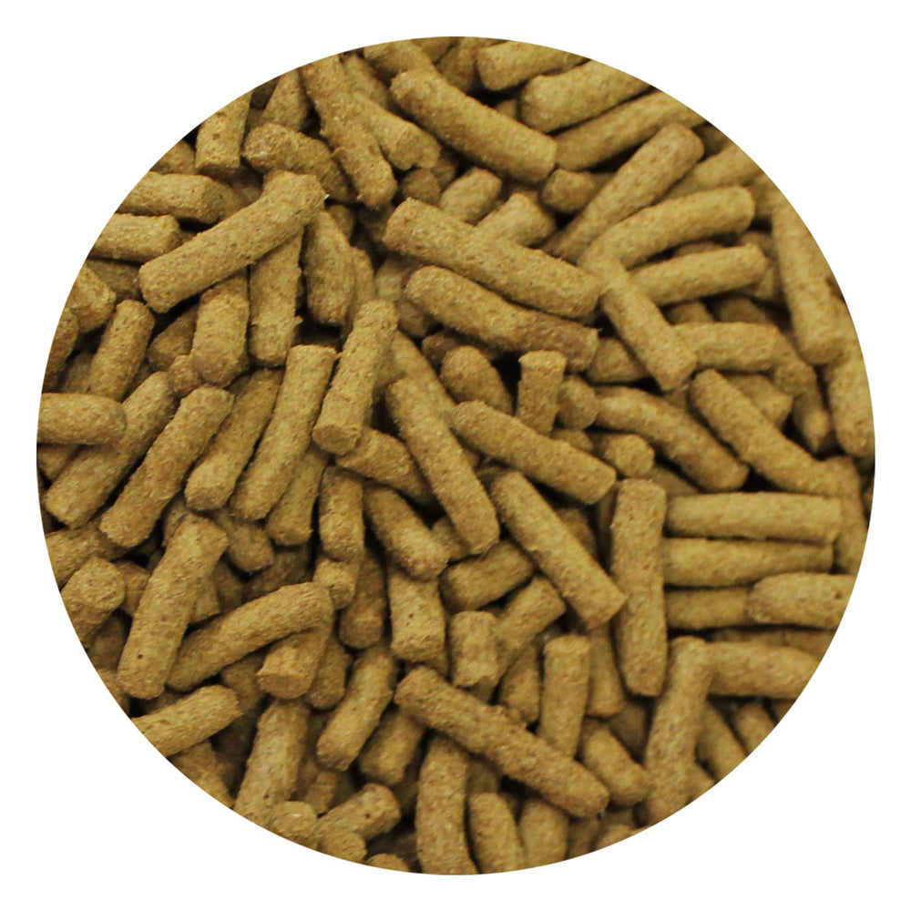 Chicken-protein closeup highlights high-quality protein balance for insectivores