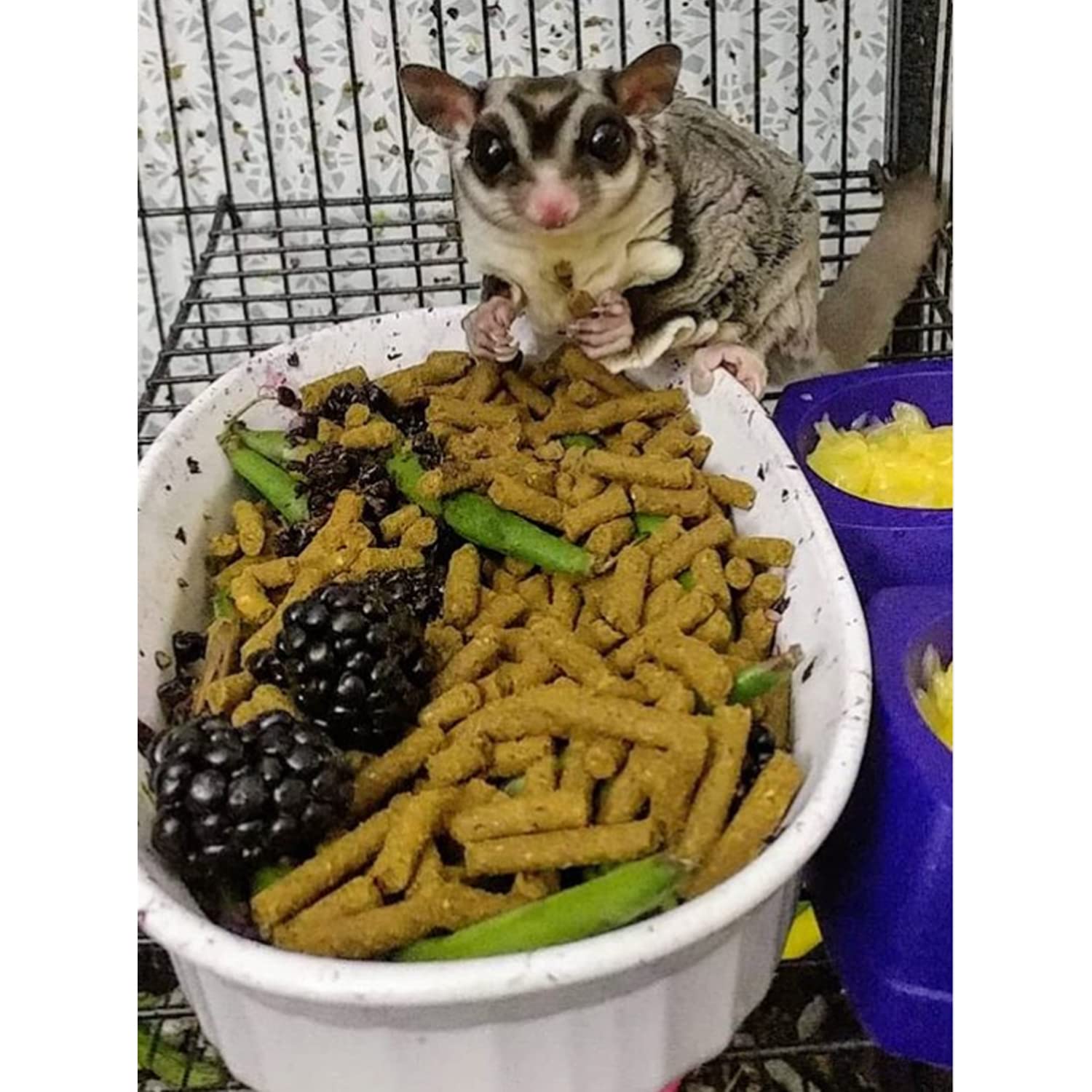 Hedgehog snack visual shows convenient sticks for small pets