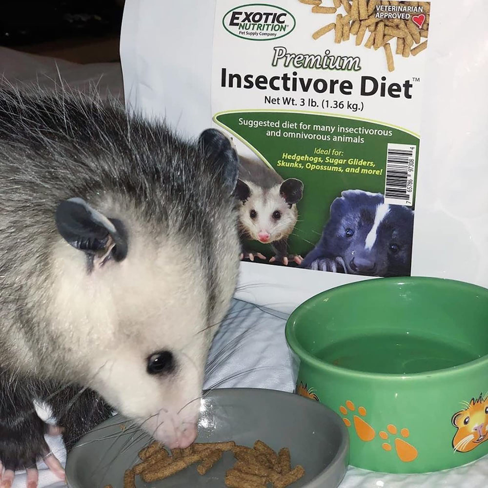 Sugar glider snack image illustrates versatile feeding option from Exotic Nutrition