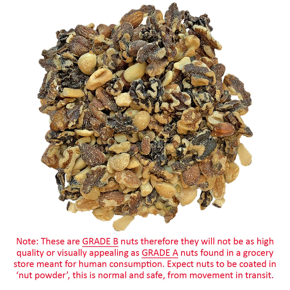 Exotic Nutrition Premium Nut Mix foraging toy setup shows nuts encouraging natural foraging behavior
