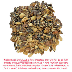 Exotic Nutrition Premium Nut Mix foraging toy setup shows nuts encouraging natural foraging behavior